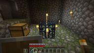 Image via Minecraft